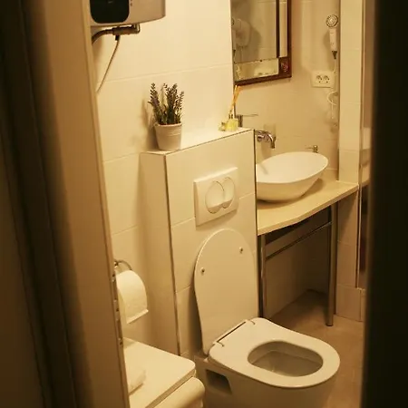 Old Center Apartment *